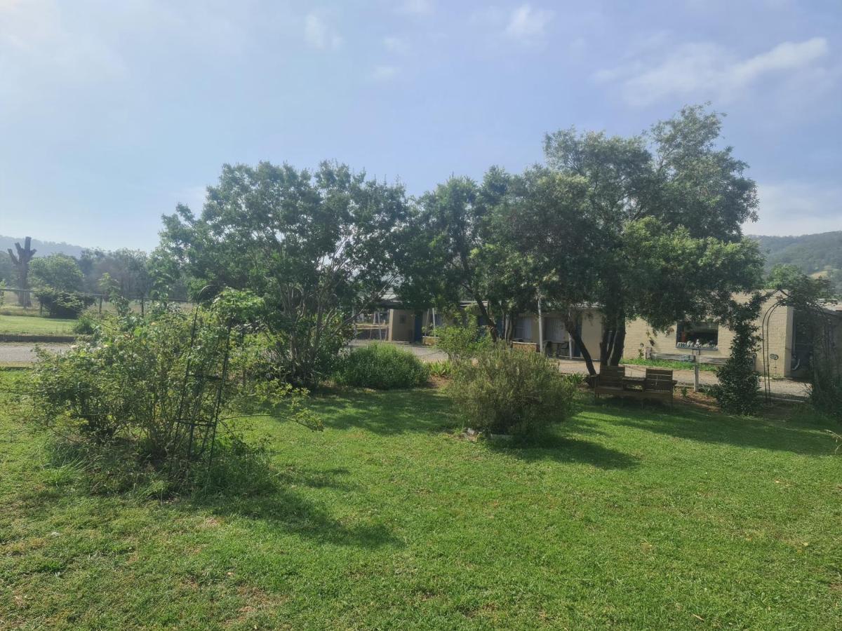 Valley View Motel Murrurundi Dış mekan fotoğraf