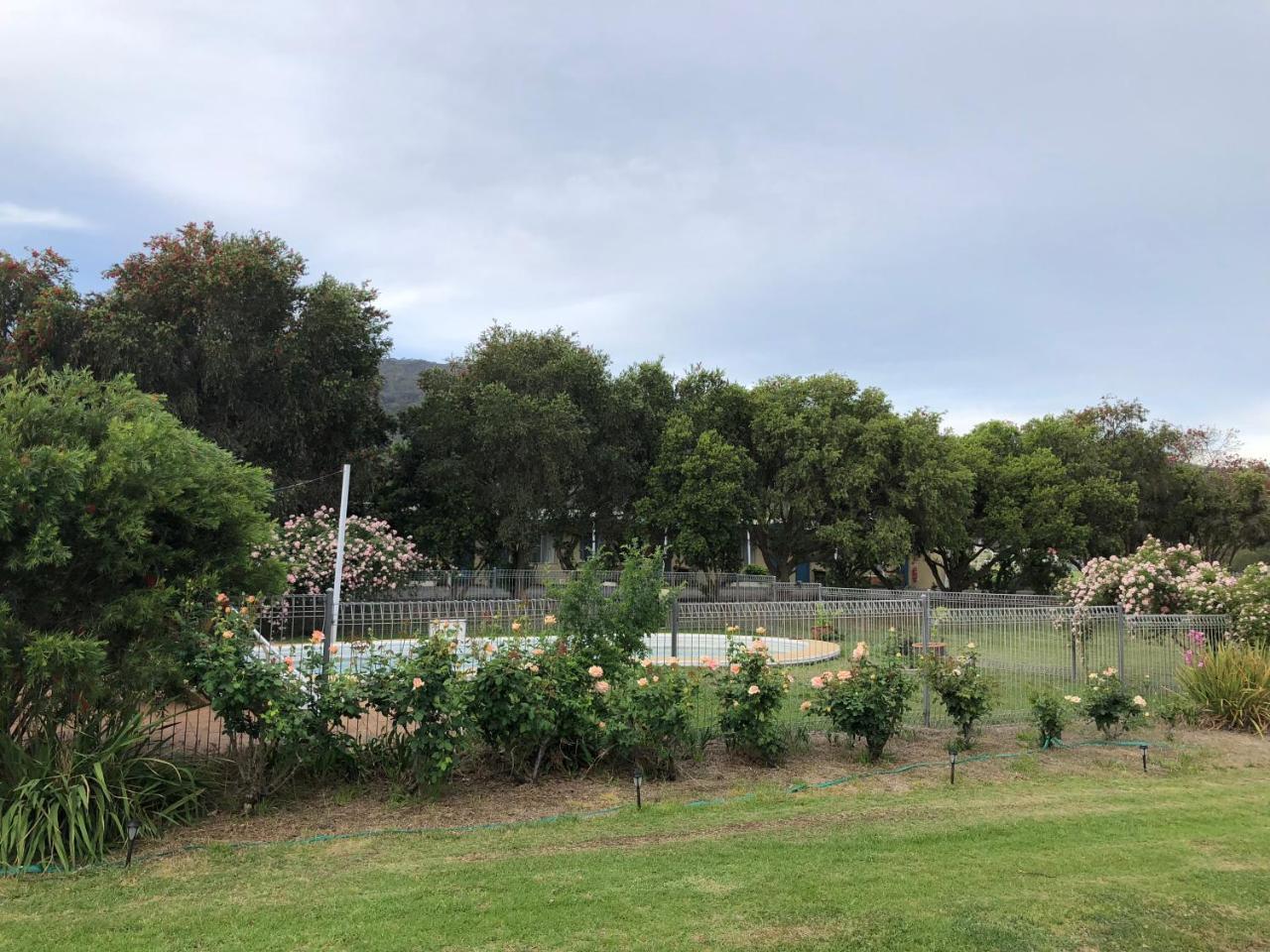 Valley View Motel Murrurundi Dış mekan fotoğraf