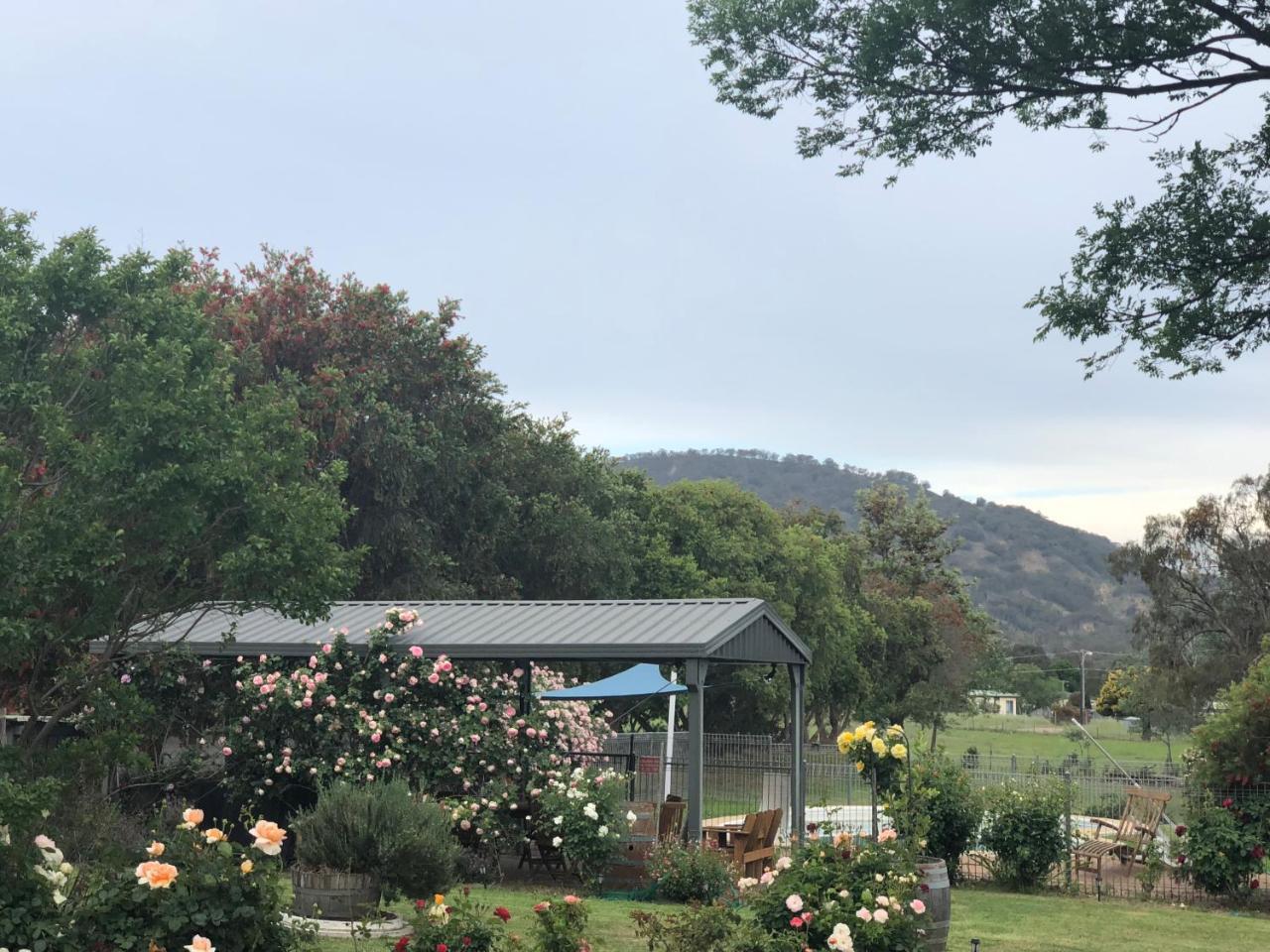 Valley View Motel Murrurundi Dış mekan fotoğraf